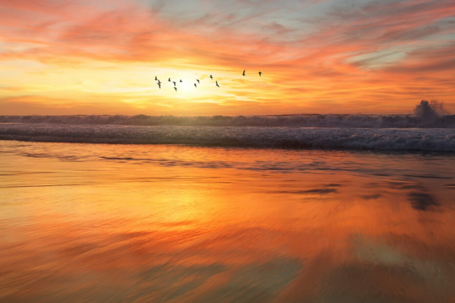 A stunning sunset over a tranquil beach with birds flying across the horizon, reflecting divine possibilities and the beauty of creation.